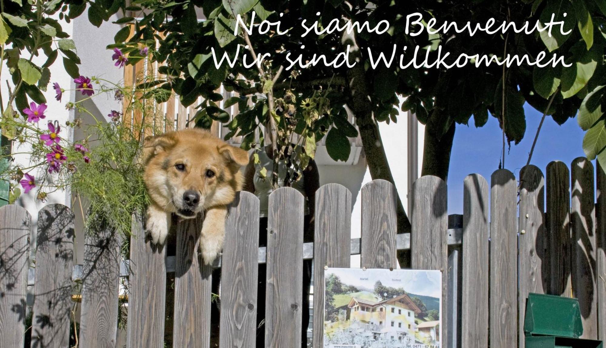 Ferienwohnungen Auhaus Martello Bagian luar foto