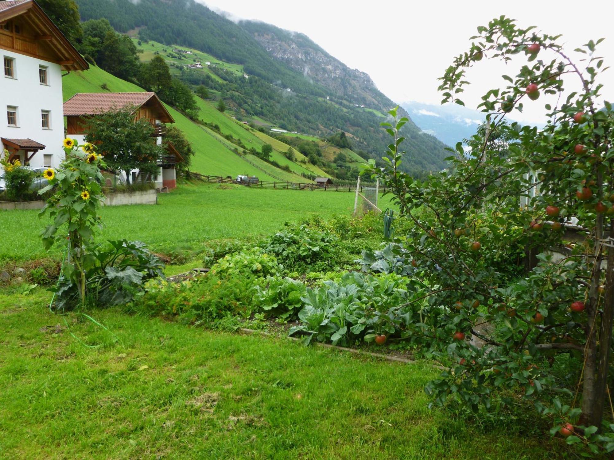 Ferienwohnungen Auhaus Martello Bagian luar foto