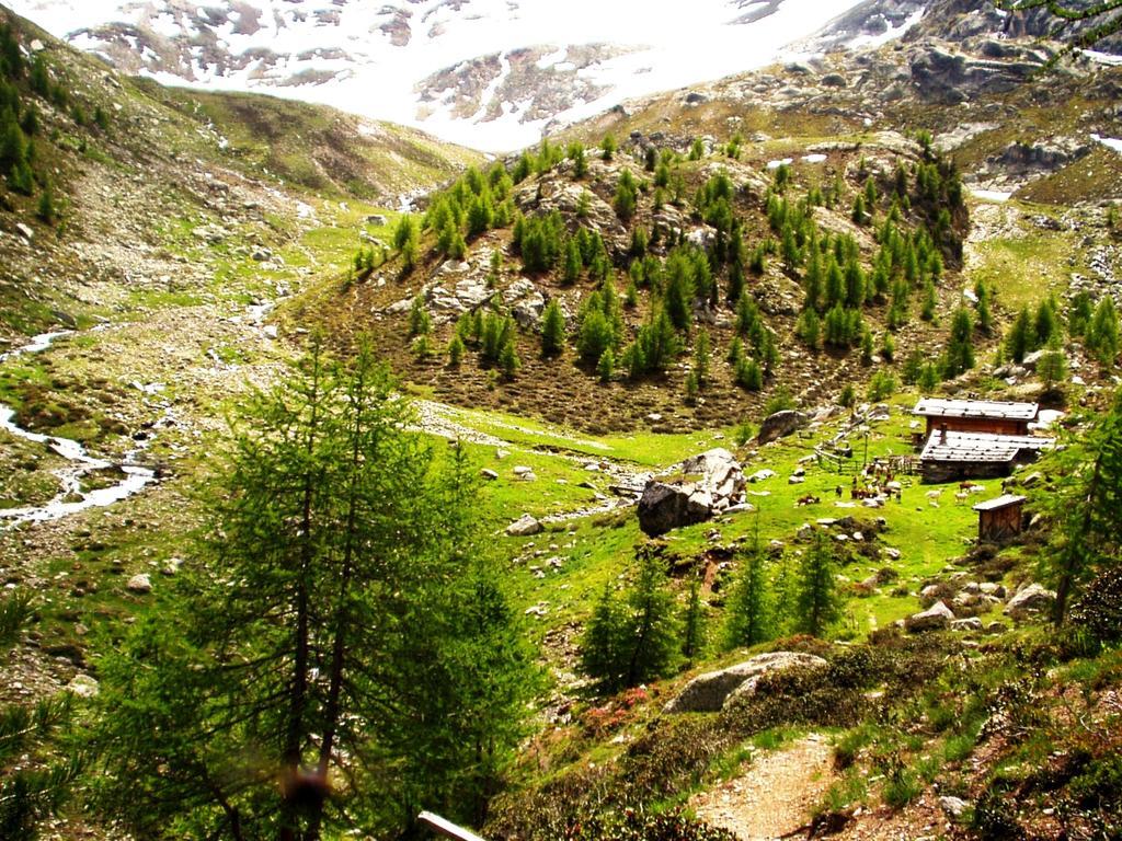 Ferienwohnungen Auhaus Martello Bagian luar foto